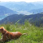 Alpenrose Guest house