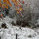 Alpenrose Casa de hóspedes 3*