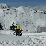 Alpenrose 3* Zell am See