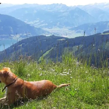 Alpenrose Vendégház