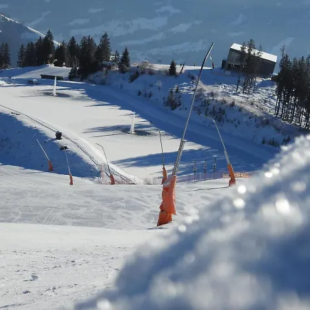 Alpenrose Гостевой дом 3*