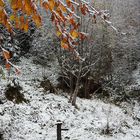 Alpenrose 招待所 3*