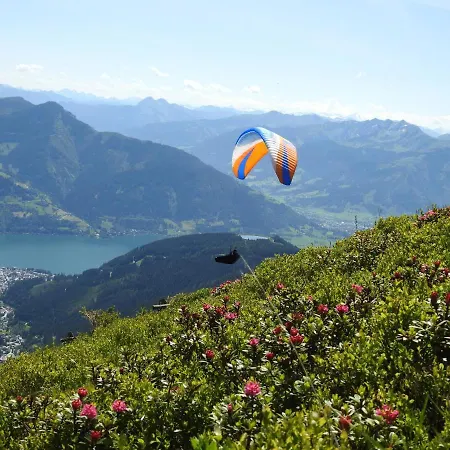 Alpenrose