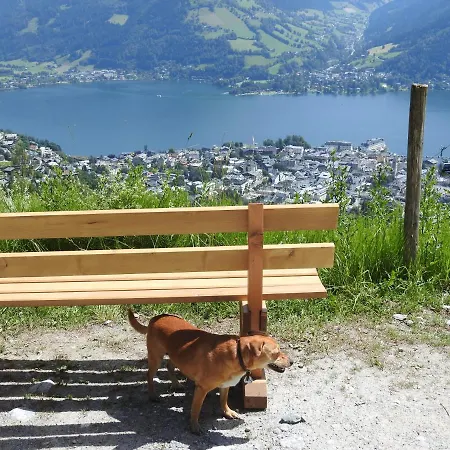 Pensjonat Alpenrose 3*