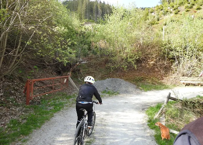 Affittacamere Alpenrose 3*