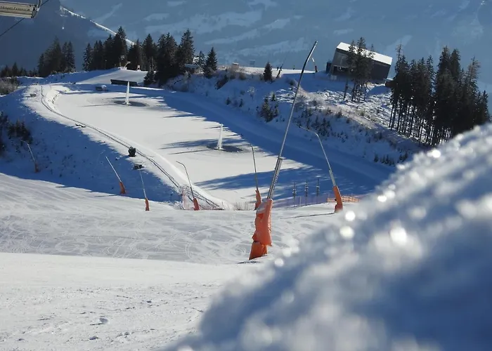 Alpenrose Gasthof 3*