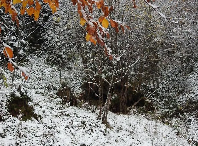 Alpenrose Vendégház 3*