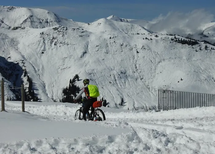 Alpenrose 3* Zell am See