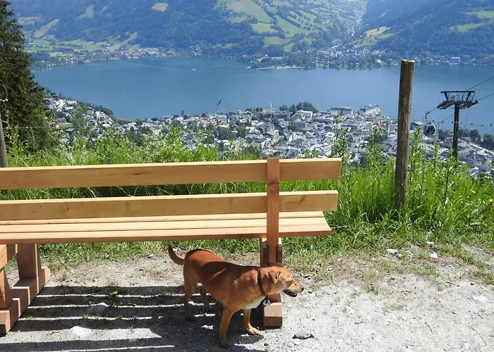 Affittacamere Alpenrose 3*