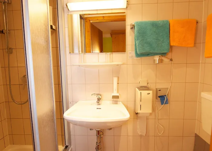 Pensionat Alpenrose 3*