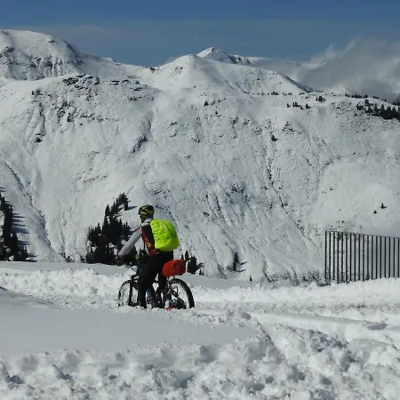 Alpenrose 3* Целль-ам-Зеє