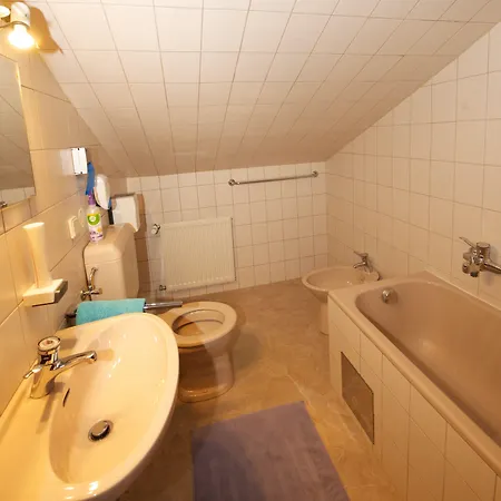 Πανσιόν Alpenrose 3*